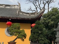 -龙华素斋(龙华路店)