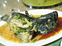 石斑鱼清蒸-四川小胡子海鲜(丁村万人海鲜广场店)