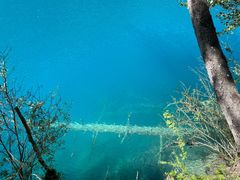 -九寨沟-树正沟