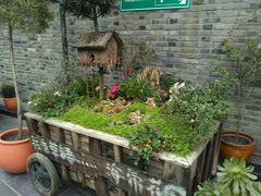 -星巴克臻选(成都宽窄巷子店)