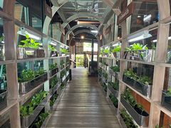 -Ohkajhu Organic Farm Sansai