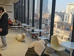 -怪兽屋·羊驼·猫咖·狗咖(俊华广场店)