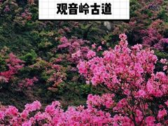 -枸杞岛