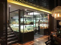 -甄御•海鲜新青岛菜(麦岛店)