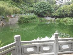 附近的赤湾公园-宋少帝陵