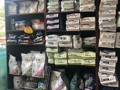 -瑞派·关忠动物医院·异宠专科·犬猫肿瘤·皮肤专科(望京店)