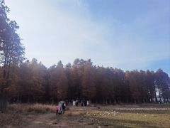 -四明湖