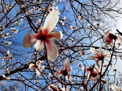 -鹫峰国家森林公园