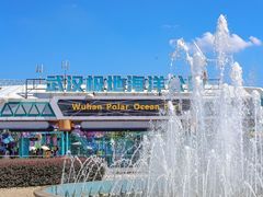 -海合安武汉极地海洋公园