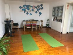 -梵未理疗瑜伽工作室