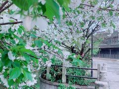 -千灯古镇