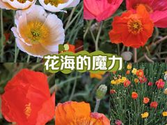 -云南省昆明市正义路步行街(三市街)