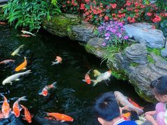 -聚福宝合苑食府(南头镇店)