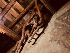 -张掖大佛寺景区