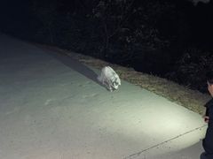 -鬼笑石后山停车场