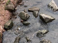 -重庆彩云湖湿地公园