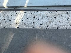 -眉州小吃(魏公村店)