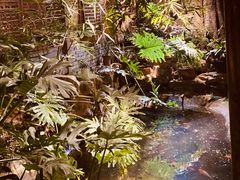 -聚缘堂·海鲜私房菜(松岭路店)