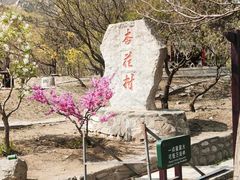 -北京凤凰岭