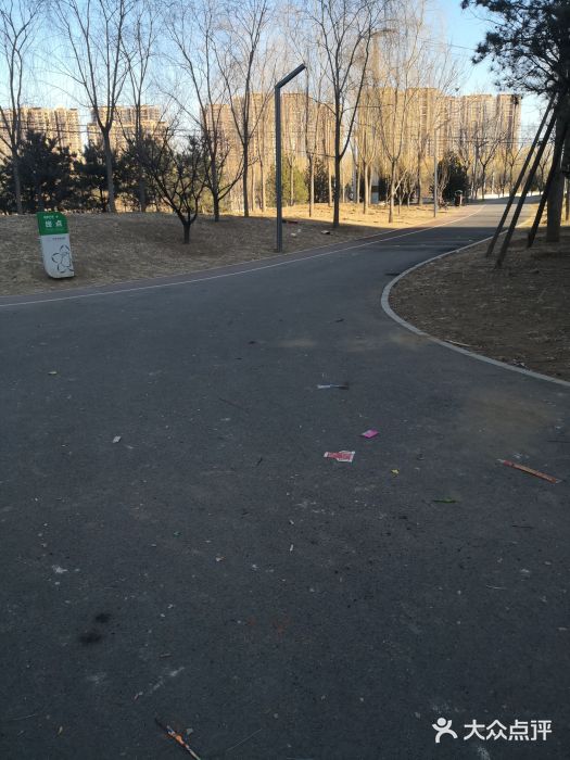 坝河休闲公园图片