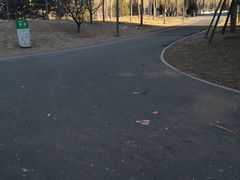-坝河休闲公园