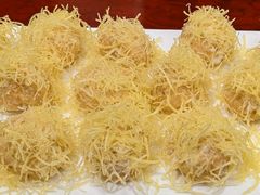 -丁老爷子苏香圆