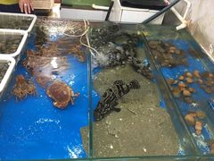 -石塘路海鲜市场(草厂中路店)
