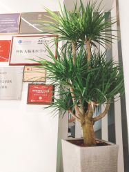 -AiCure 埃可儿·韩国医学皮肤管理