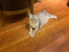 -H立方实景剧情密室(天河旗舰店)