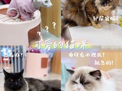 -猪盟咖啡店(玖洲道店)