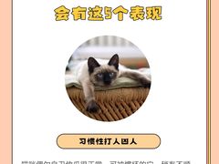 -佩兹宠物医院肿瘤专科·眼科·牙科(黄浦店)