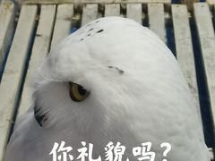 -成都浩海立方海洋公园