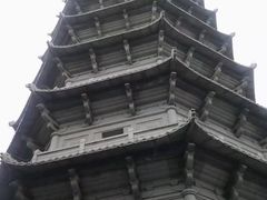 -深圳国际园林花卉博览园