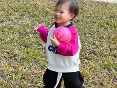 -王借岗森林公园