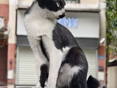 -晓港公园