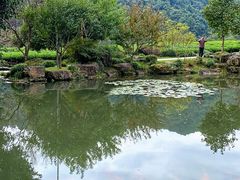 -中国茶叶博物馆(双峰馆区)