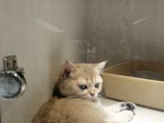 -乐宠宠物店(世纪金源店)