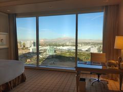 -拉斯维加斯永利酒店