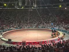 -俄罗斯国家大马戏团