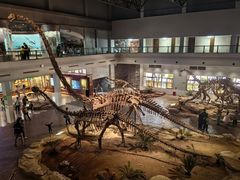 -自贡恐龙博物馆