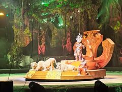 -广州长隆国际大马戏