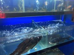 -李东农庄(中南百草园地标店)