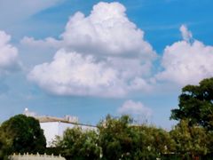 -八大山人梅湖景区