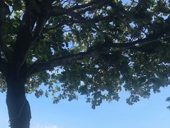 -广百家超市(大东海店)