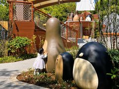-合肥野生动物园