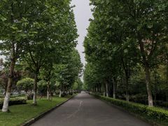 -大渡口区义渡公园