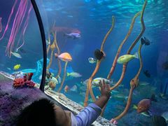 -沈阳海洋探索中心