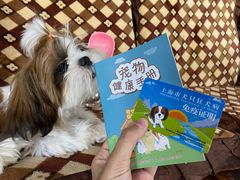 -顺强宠物诊所·狂犬免疫·夜诊·骨科(嘉定店)