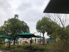 -季高兔窝窝亲子园(上海薰衣草公园店)