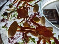 -壳里西餐厅Coquille Seafood Bistro(蒙自路店)